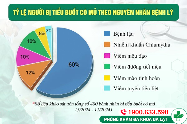 Hình ảnh minh họa
